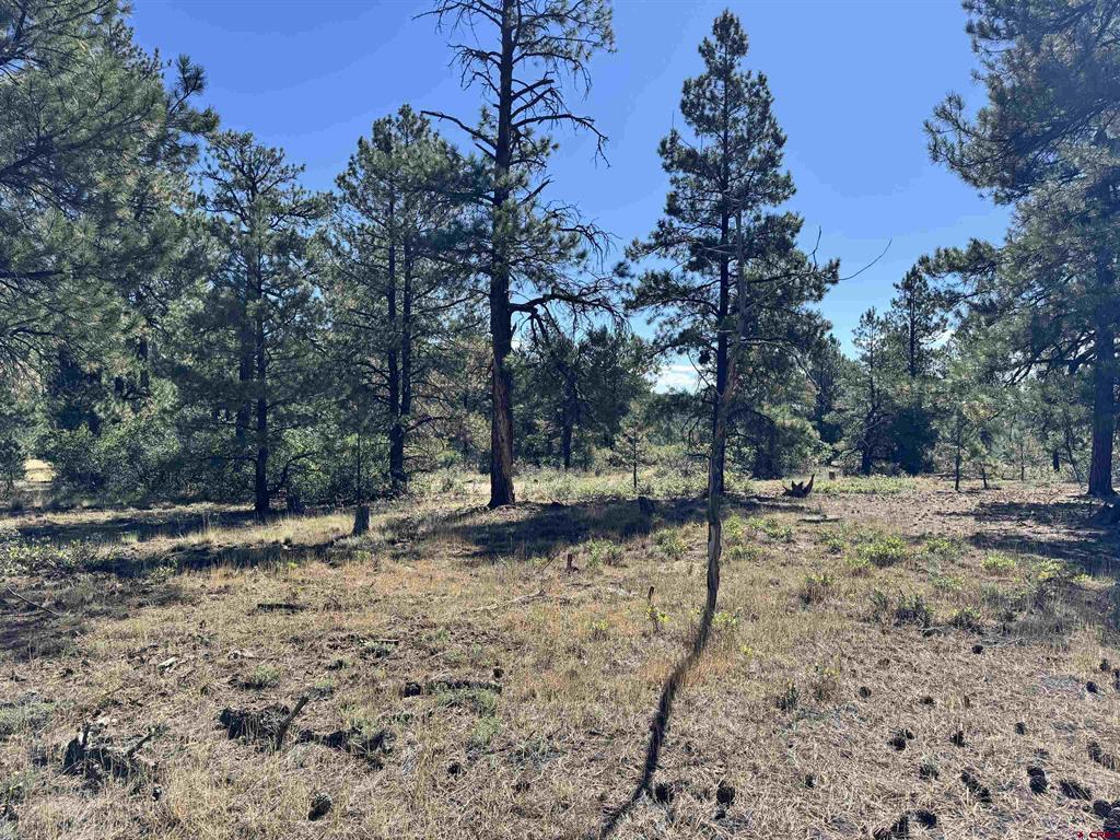 139 Coronado Circle Pagosa Springs CO 81147