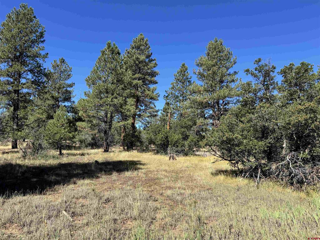 139 Coronado Circle Pagosa Springs CO 81147