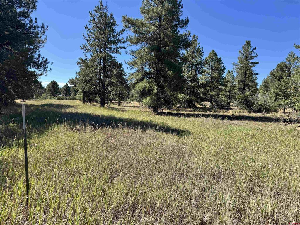 139 Coronado Circle Pagosa Springs CO 81147