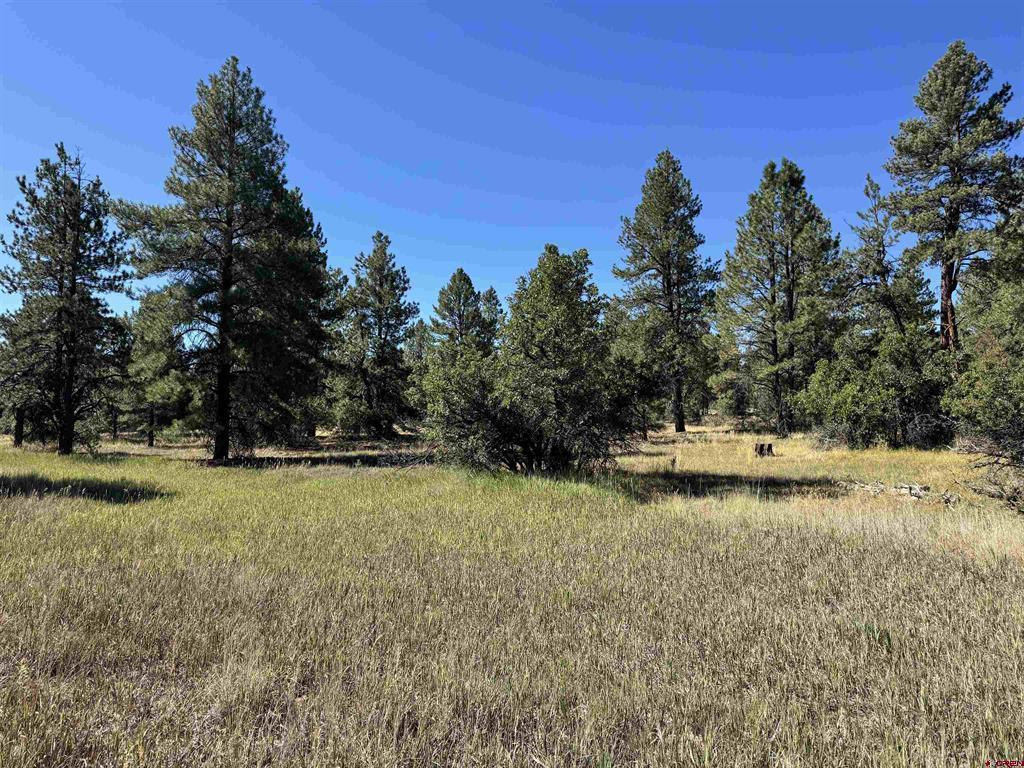 139 Coronado Circle Pagosa Springs CO 81147