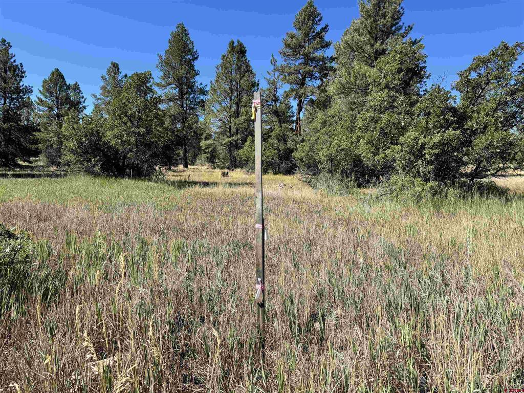 139 Coronado Circle Pagosa Springs CO 81147