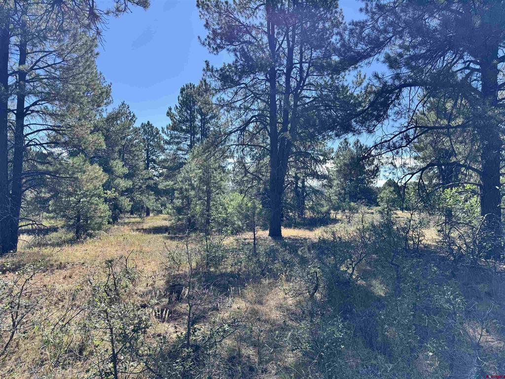 139 Coronado Circle Pagosa Springs CO 81147