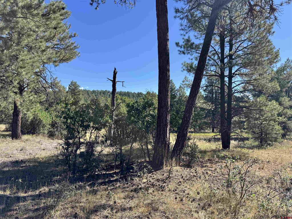 139 Coronado Circle Pagosa Springs CO 81147