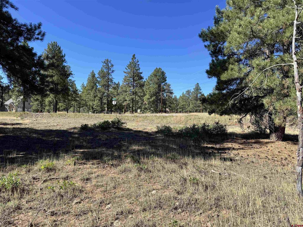 139 Coronado Circle Pagosa Springs CO 81147