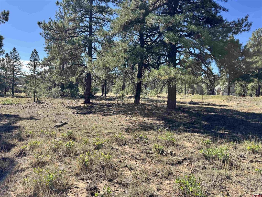 139 Coronado Circle Pagosa Springs CO 81147