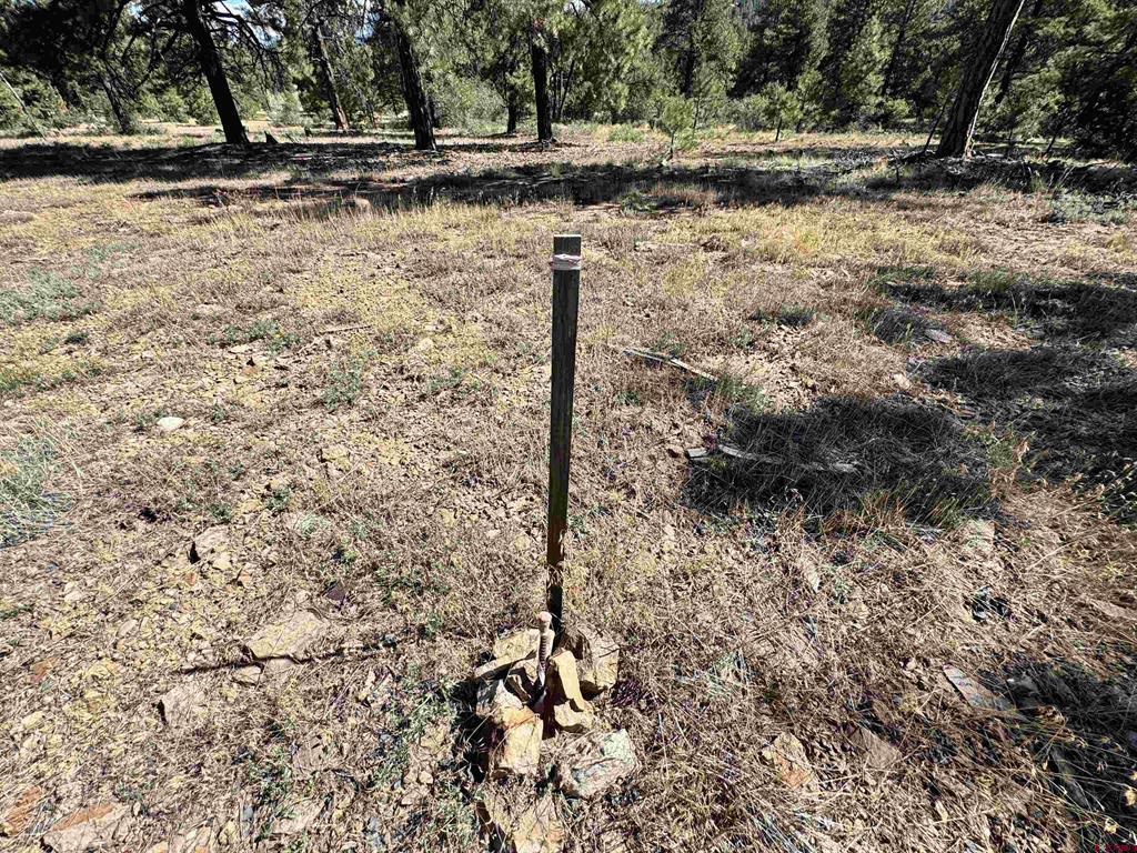 139 Coronado Circle Pagosa Springs CO 81147