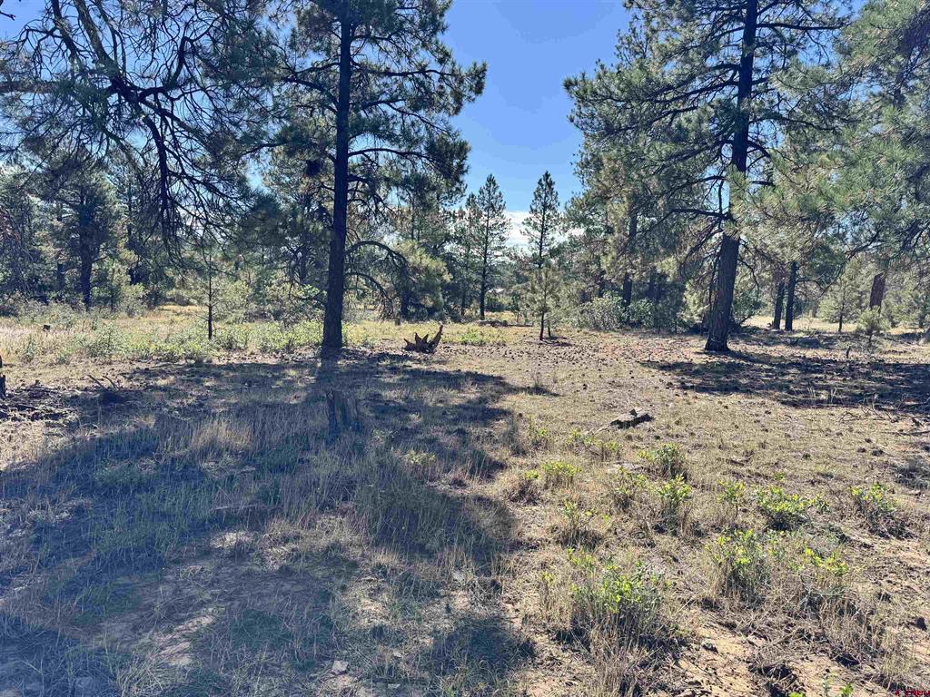 139 Coronado Circle Pagosa Springs CO 81147