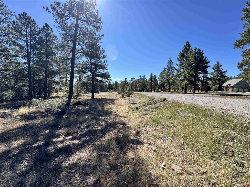 139 Coronado Circle Pagosa Springs CO 81147