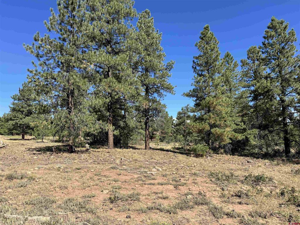 139 Coronado Circle Pagosa Springs CO 81147