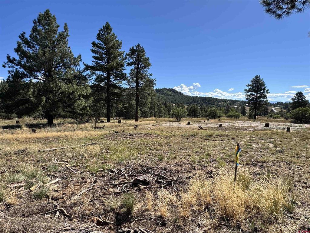139 Coronado Circle Pagosa Springs CO 81147