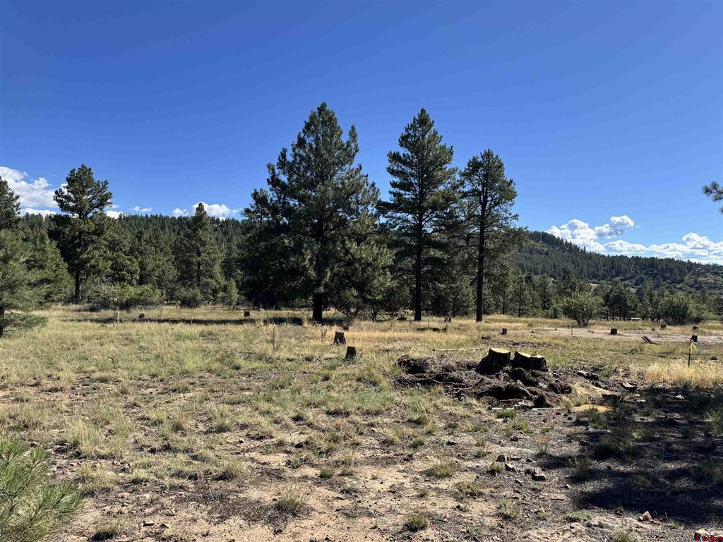 139 Coronado Circle Pagosa Springs CO 81147