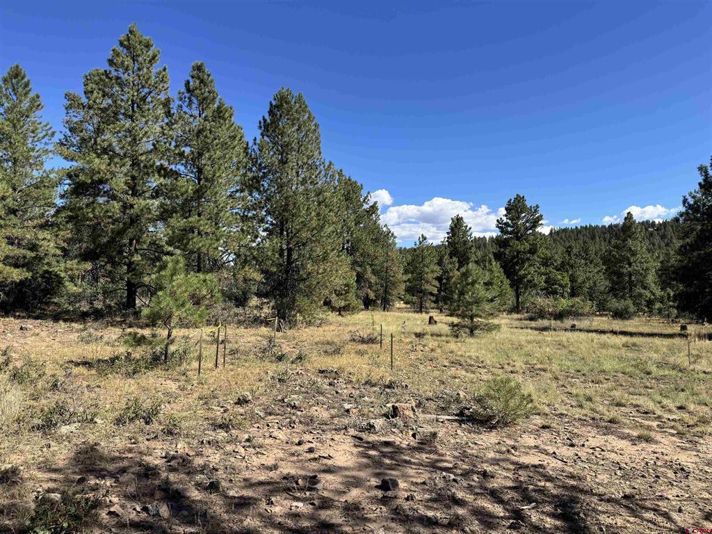 139 Coronado Circle Pagosa Springs CO 81147