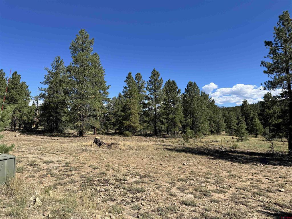 139 Coronado Circle Pagosa Springs CO 81147