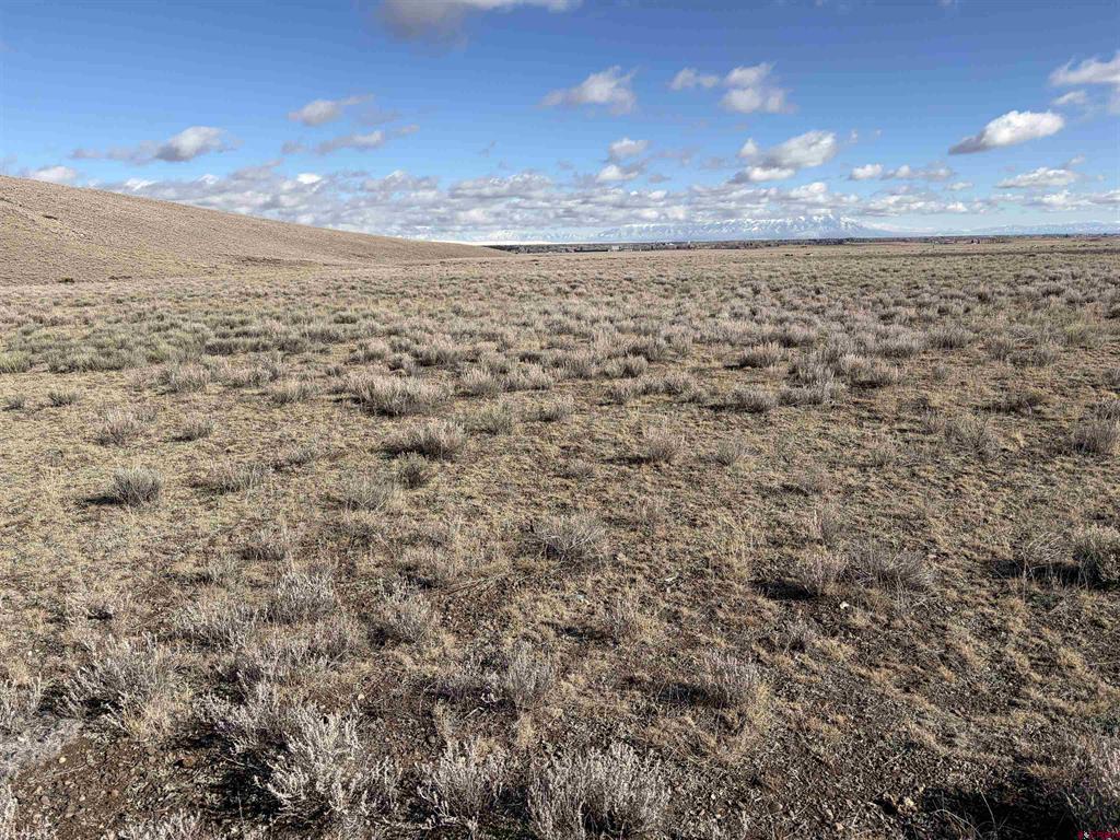 NE Lariat Road Monte Vista CO 81144