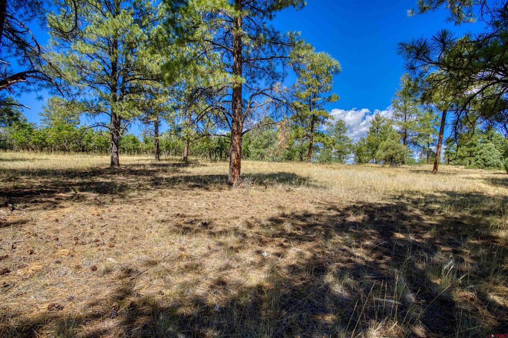 122 Yarrow Circle Pagosa Springs CO 81147