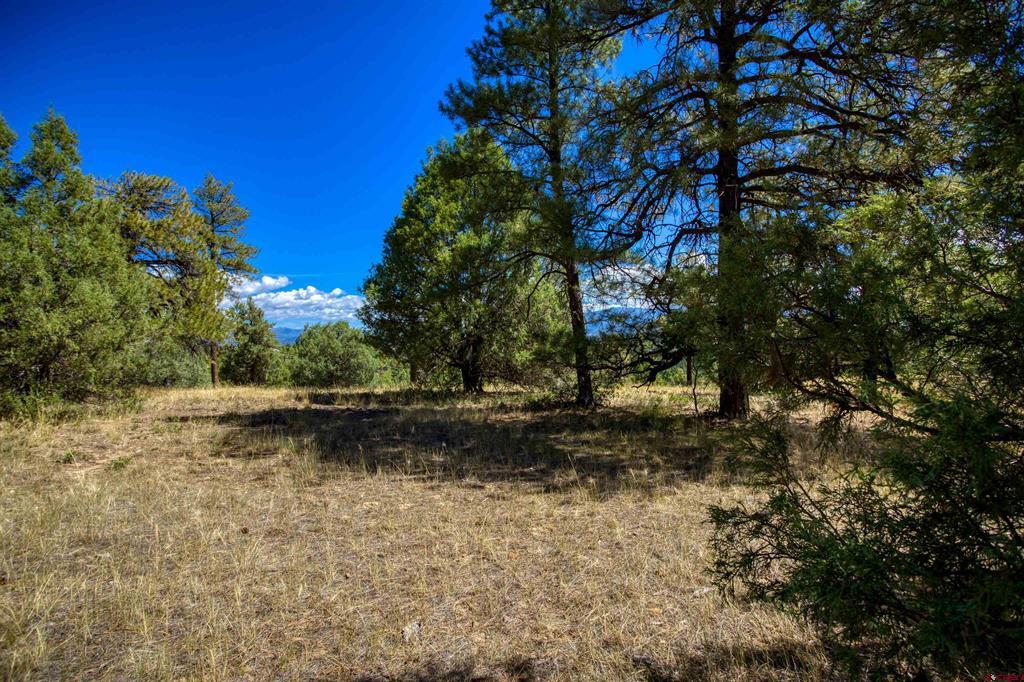 122 Yarrow Circle Pagosa Springs CO 81147