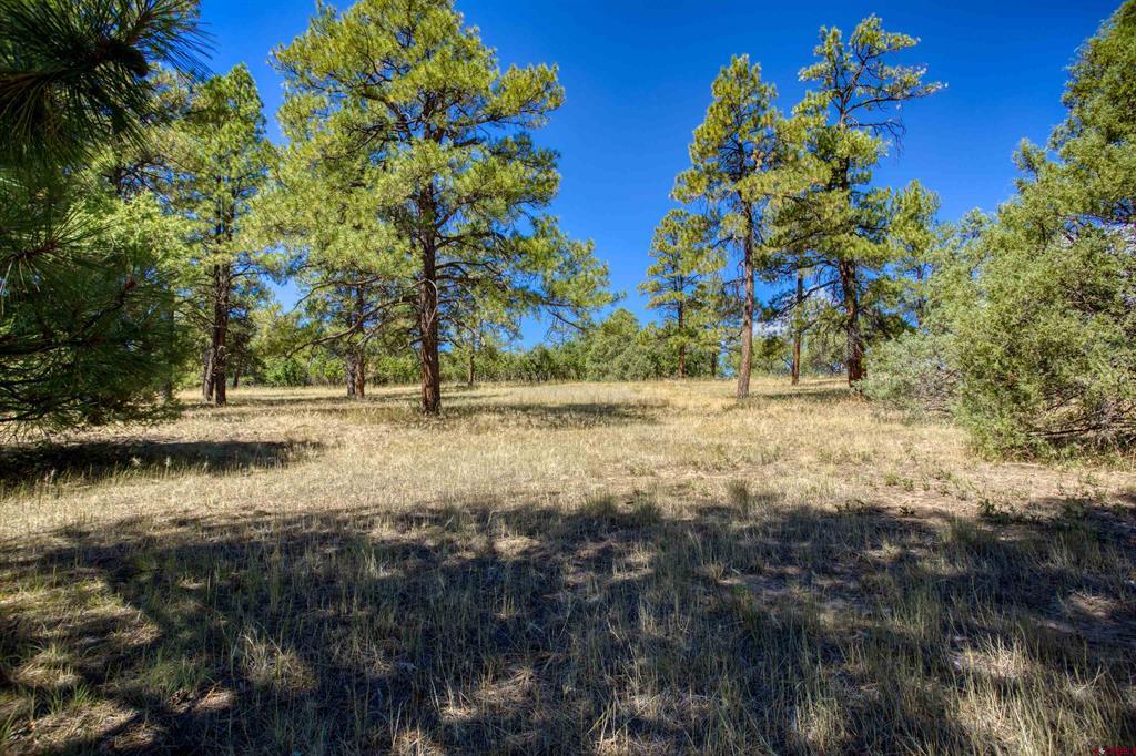 122 Yarrow Circle Pagosa Springs CO 81147