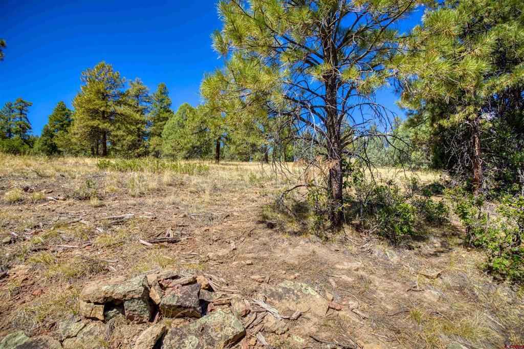 122 Yarrow Circle Pagosa Springs CO 81147