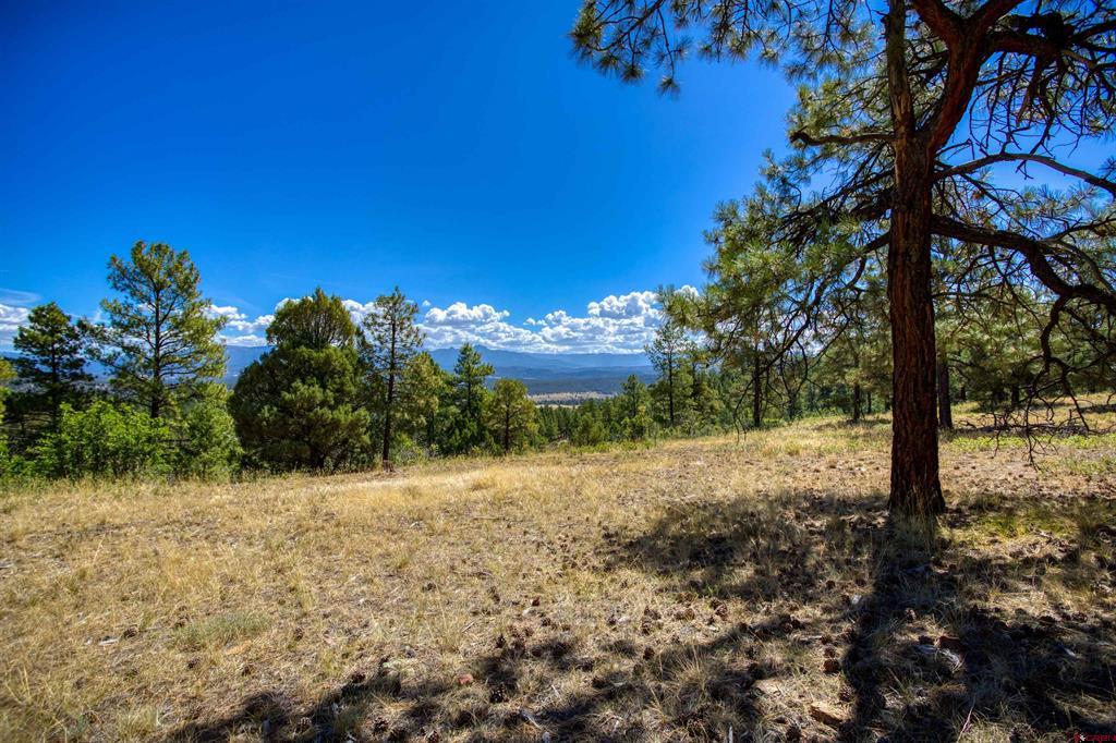 122 Yarrow Circle Pagosa Springs CO 81147