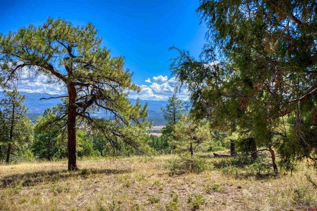 122 Yarrow Circle Pagosa Springs CO 81147