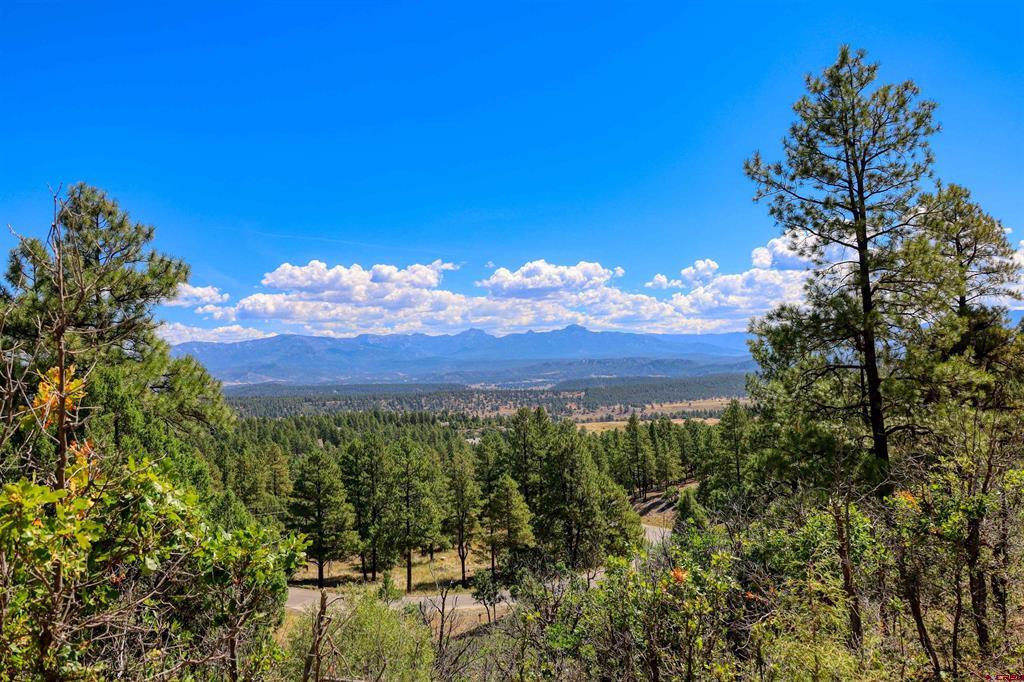 122 Yarrow Circle Pagosa Springs CO 81147