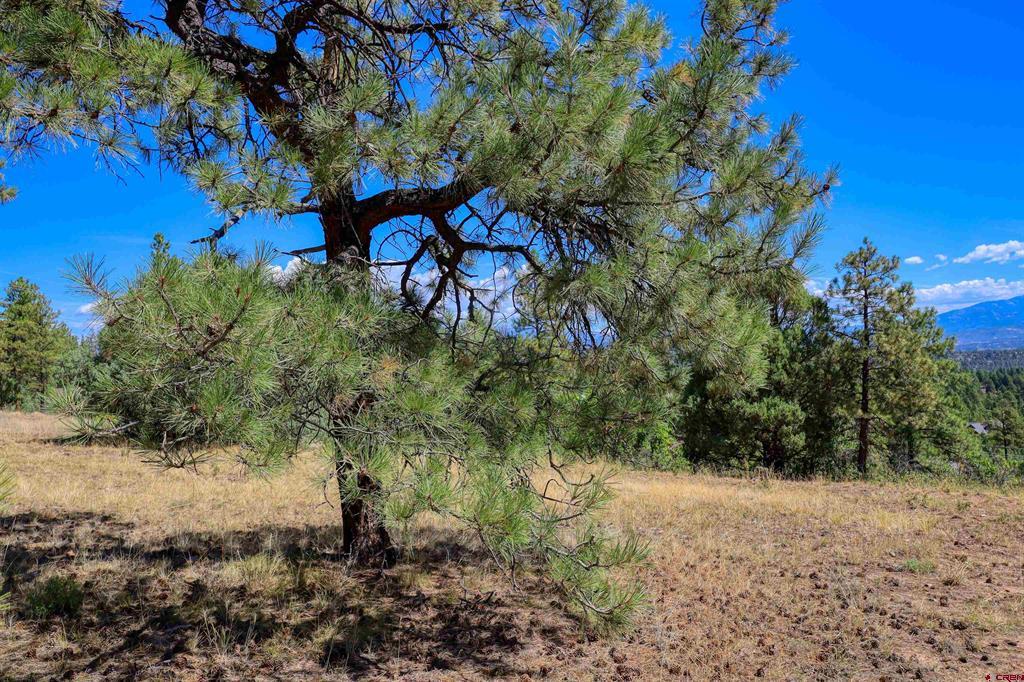 122 Yarrow Circle Pagosa Springs CO 81147