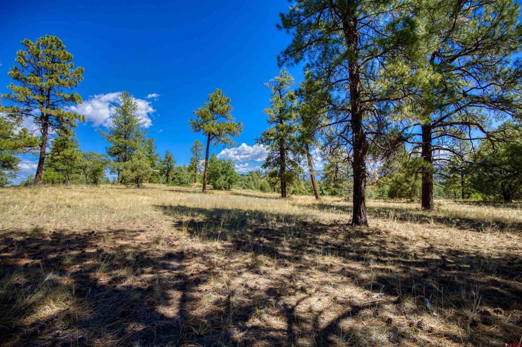 122 Yarrow Circle Pagosa Springs CO 81147