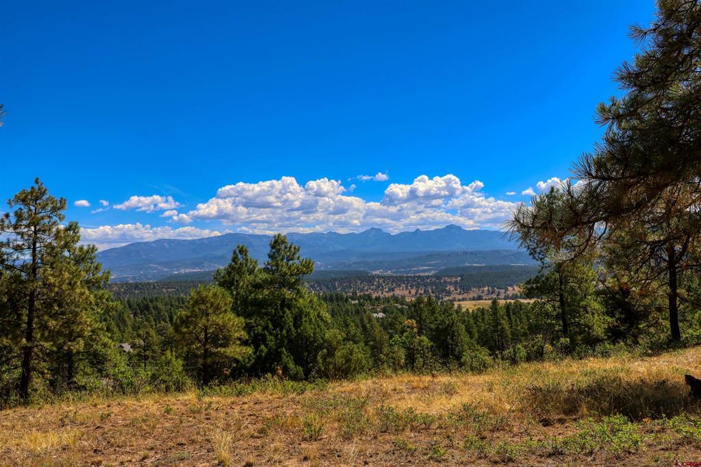 122 Yarrow Circle Pagosa Springs CO 81147