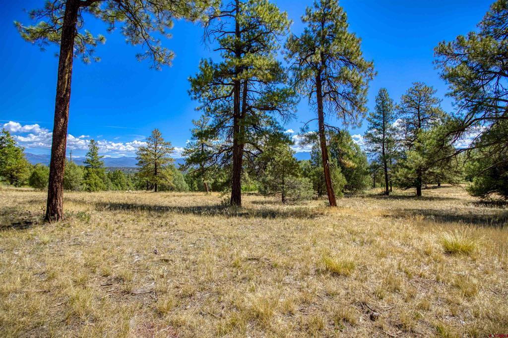 122 Yarrow Circle Pagosa Springs CO 81147