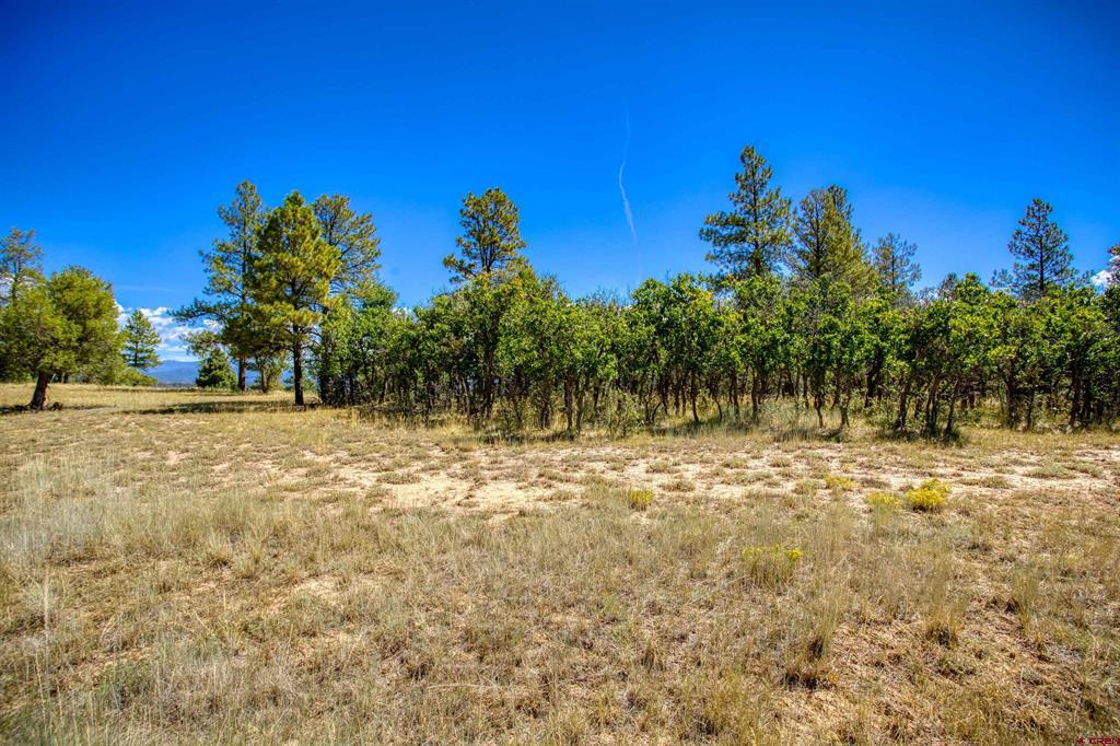 122 Yarrow Circle Pagosa Springs CO 81147