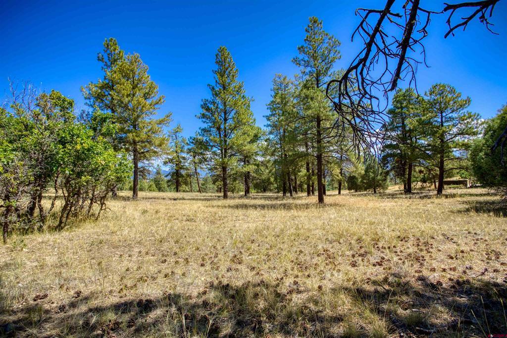 122 Yarrow Circle Pagosa Springs CO 81147
