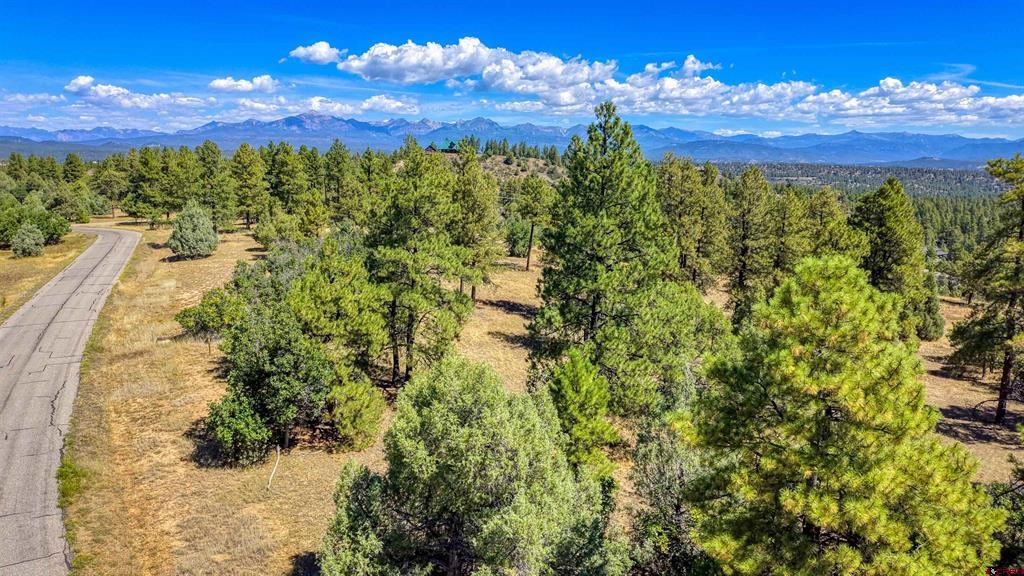 122 Yarrow Circle Pagosa Springs CO 81147