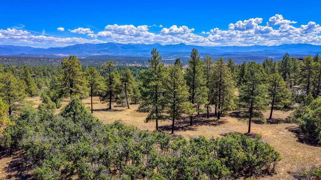122 Yarrow Circle Pagosa Springs CO 81147