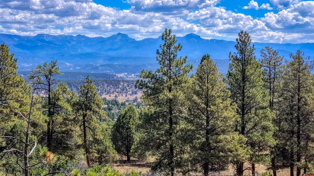 122 Yarrow Circle Pagosa Springs CO 81147