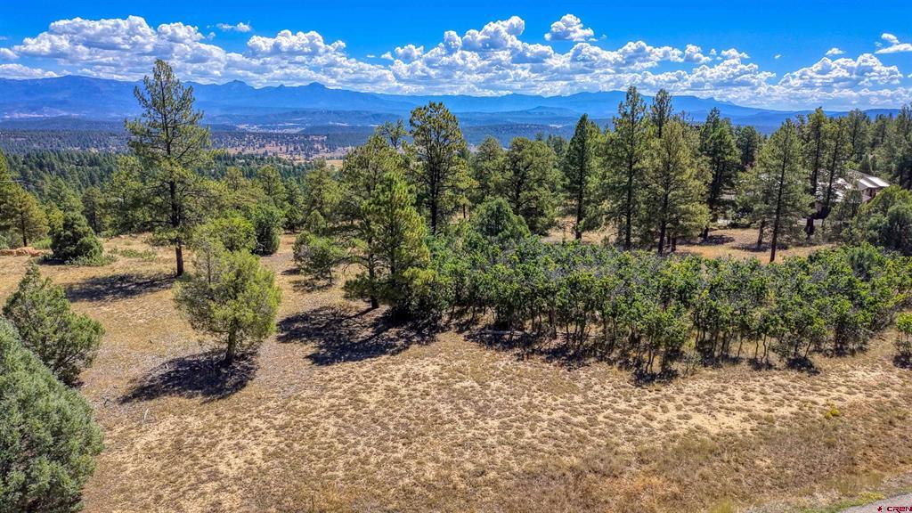 122 Yarrow Circle Pagosa Springs CO 81147