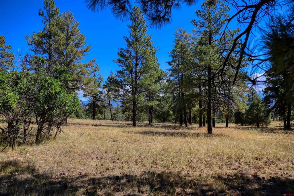 122 Yarrow Circle Pagosa Springs CO 81147