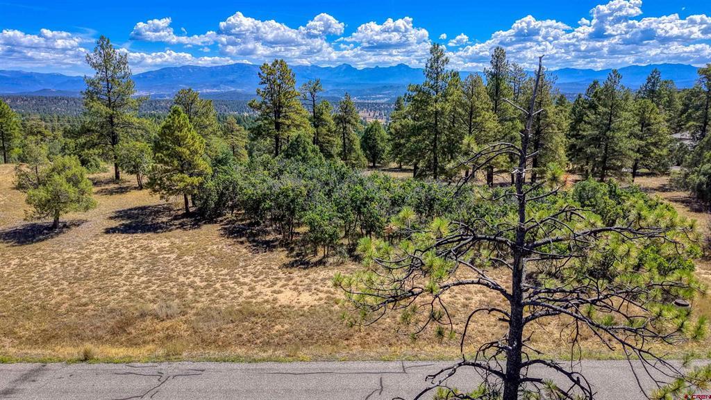122 Yarrow Circle Pagosa Springs CO 81147