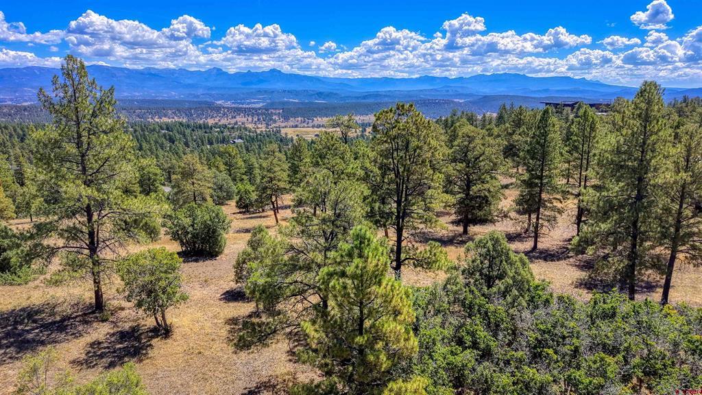 122 Yarrow Circle Pagosa Springs CO 81147