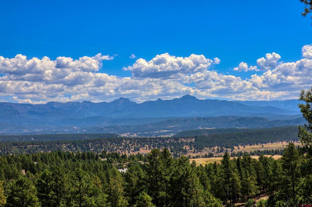 122 Yarrow Circle Pagosa Springs CO 81147