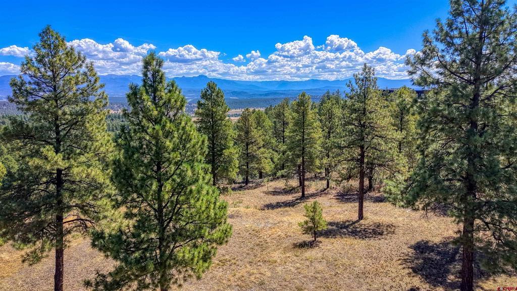 122 Yarrow Circle Pagosa Springs CO 81147