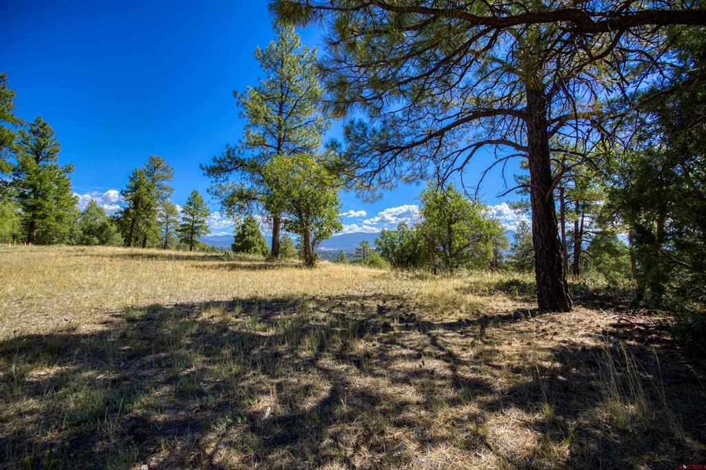 122 Yarrow Circle Pagosa Springs CO 81147