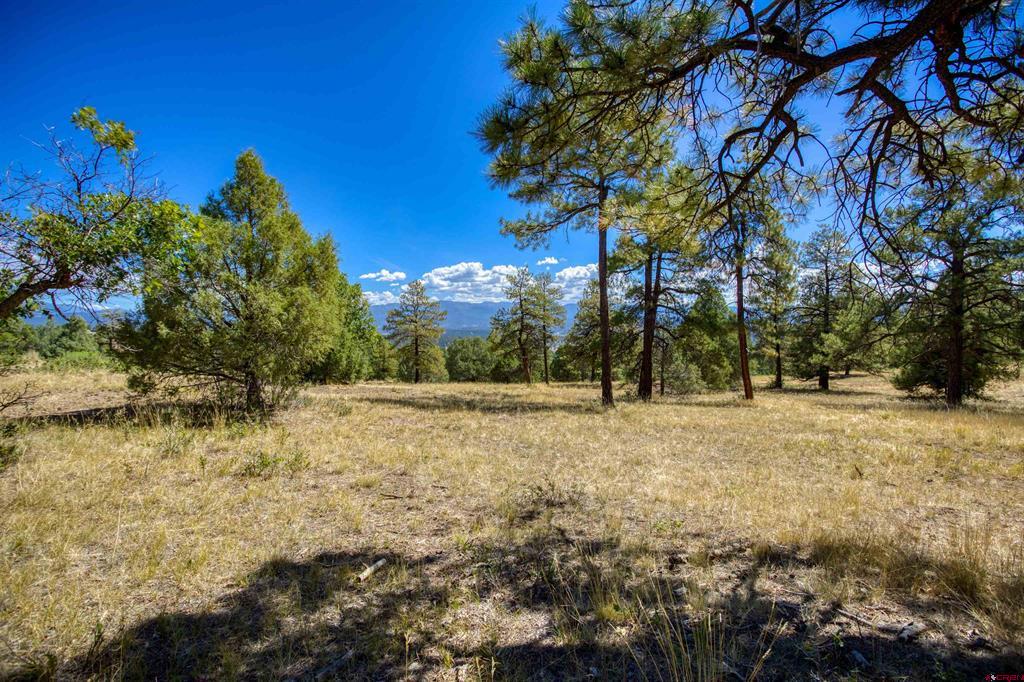 122 Yarrow Circle Pagosa Springs CO 81147