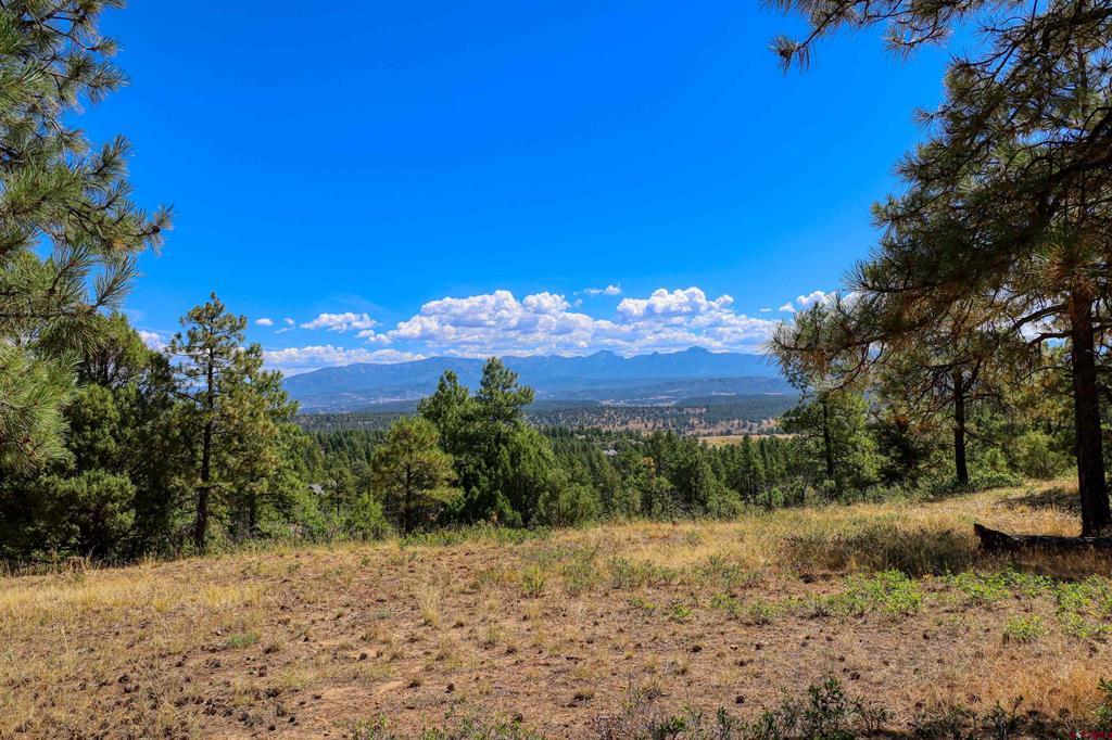 122 Yarrow Circle Pagosa Springs CO 81147