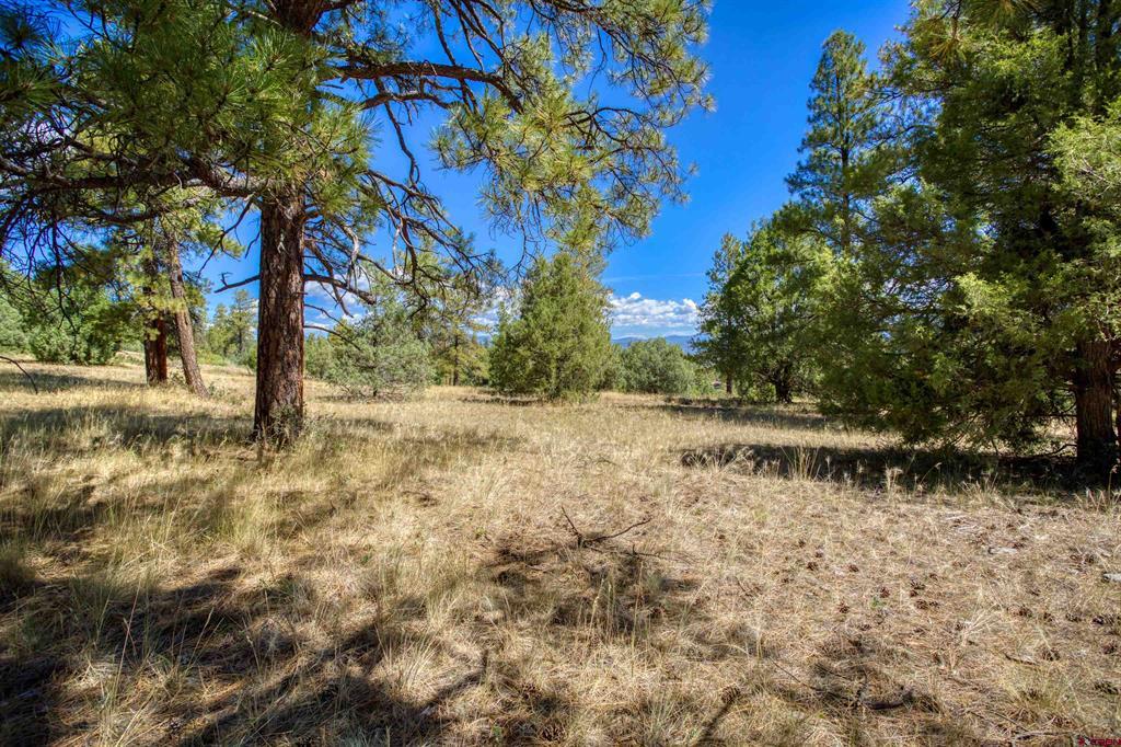 122 Yarrow Circle Pagosa Springs CO 81147