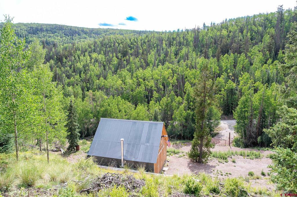 2540 Usfs Road 503 Creede CO 81130