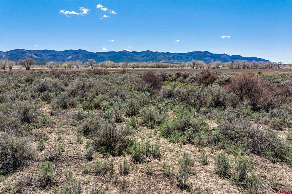 Tbd Road H.6 Cortez CO 81321