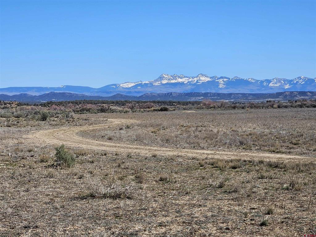 Tbd Road H.6 Cortez CO 81321