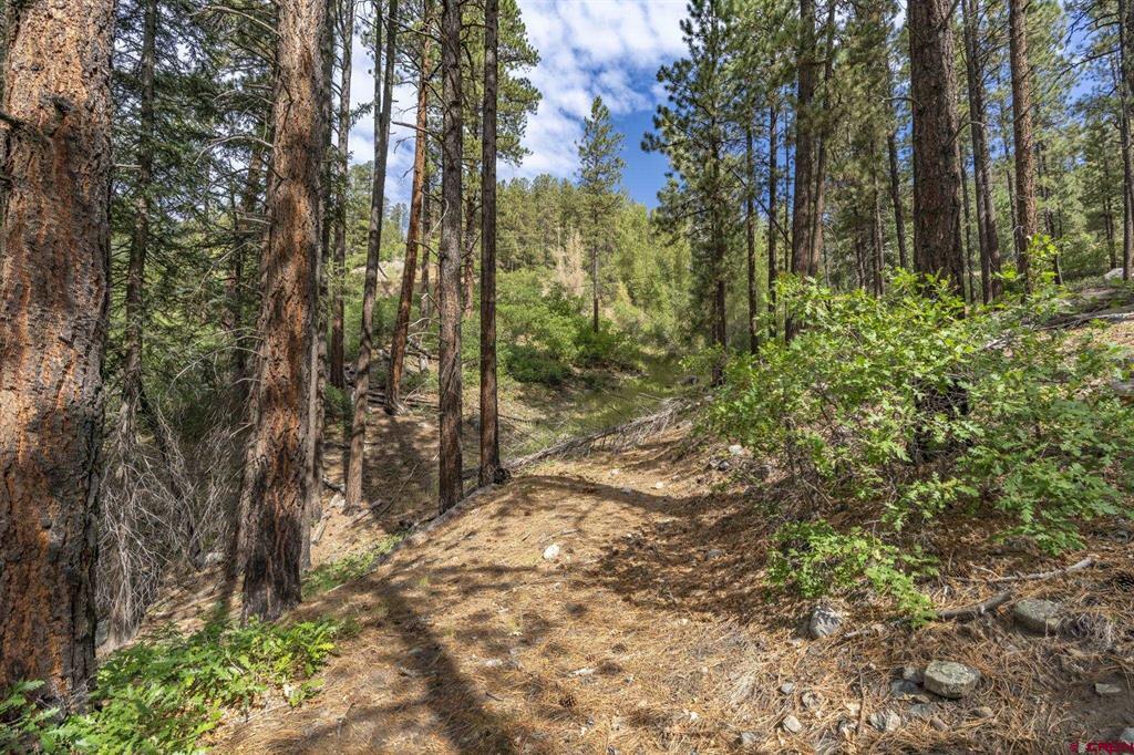 22000 County Road 501 Bayfield CO 81122