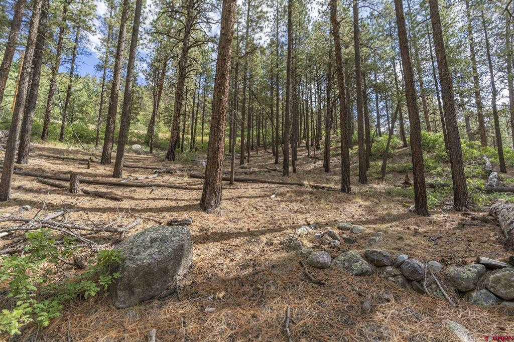 22000 County Road 501 Bayfield CO 81122
