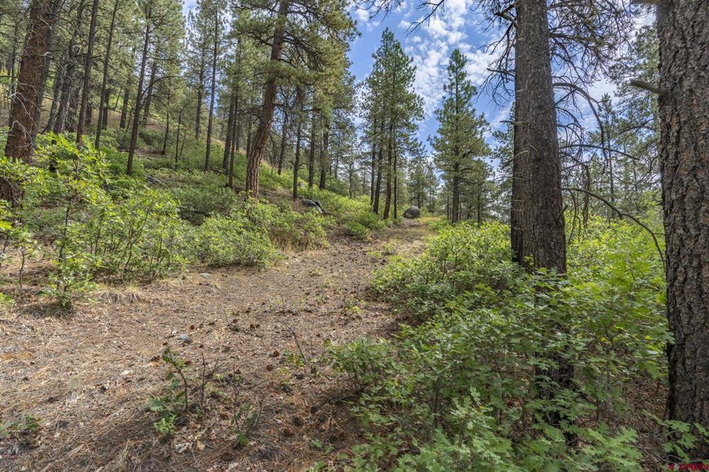 22000 County Road 501 Bayfield CO 81122